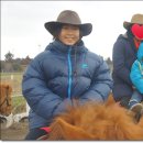 우리승마장 이미지