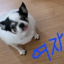 지산로115번길 이미지