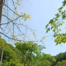 연꽃자리캠핑타운