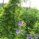 두름농장 이미지