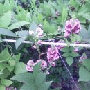 병현농장 이미지