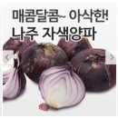 경북 의성 토종마늘 정보화마을 네이버블로그