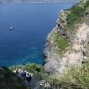 김유곤농장 이미지