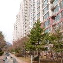 신봉2로 이미지