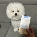 베베시오 | ✿[베베시오 포켓 올인원 샴푸] 솔직 후기✿