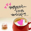 이토록 아름다운 세상에/장세희 이미지