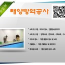 태양방역공사 네이버블로그