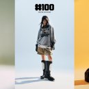 100 이미지