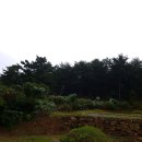 동해시-62 이미지