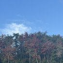 닭한바리 | 10월 셋째 주 기록