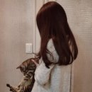 헤르메스 헤어갤러리