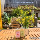 순광농장 | 제주 애월 가볼만한곳 실내 놀거리 제주홀릭뮤지엄