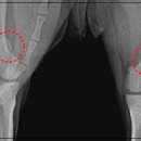 에스메디칼 이미지