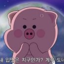 함덕위드자쿠지
