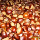 해피전자 이미지