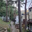 로얄애견 이미지