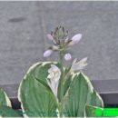 퇴계로1 이미지