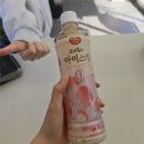 보성약국 | cu 알바 중 친구의 깜짝 방문 &amp; 군고구마에게 배신당하다 화상!!