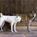 영구축산 이미지