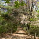 서리풀길 4 이미지