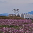 탄금공원 이미지