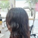 카스텔 헤어