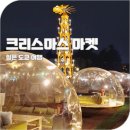 2024 도쿄 크리스마스마켓 메이지신궁 티켓 예약 사전예매 혜택