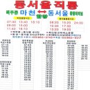 하쿠나마타타 민박 이미지