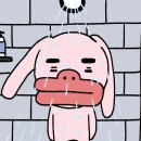 씻고올개 이미지