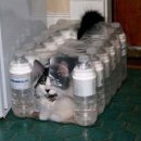 찌개달인 이미지