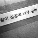 ZIA 이미지