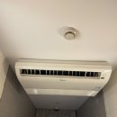 (주)동방사이메드 | 위치 이텔프리미엄호텔 | 난징동루 화이트레빗, 팝마트, 헤이티 방문후기 | 난징동루 과일가게 추천