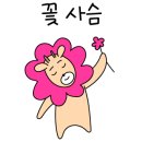 노아건강 네이버블로그
