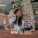 바다보는 민박 이미지