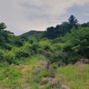 가평땅부동산중개사무소 이미지