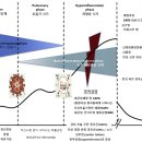 Coronavirus 2019 Infectious Disease Epidemic 이미지