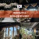 카페로보타중계초점 | 엘리에나호텔 웨딩 2027 견적 후기 강남 밝은홀 그랜드볼룸홀 베뉴투어