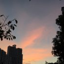 신대천 네이버블로그