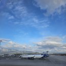 아테네커피 | 2026.02.28 터키항공 인천-이스탄불환승-아테네 비즈니스석 후기