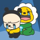 소소한보험 네이버블로그