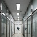 경기도 수원시 장안구 천천로 | [수원] 수원 미용실 “오브이” 에서 염색하고왔어요!, 힙한 천천동 미용실 추천
