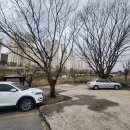 부영공원(월산근린공원) 이미지