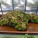 연곡농장 이미지