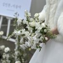 일루와유달보루