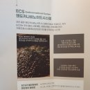 이뮨팩토리제주