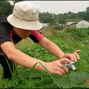 뱅뱅 홍성 이미지