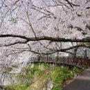 낙동강변4 이미지