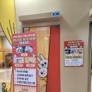 HanaStay 광안(하나스테이) | 부산 광안리 동물카페 애니멀카페 피피피 | 아이랑 가볼만한 곳