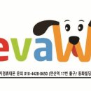 초량애견 이미지