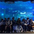 부산연제구학교밖청소년지원센터 부울경뉴스